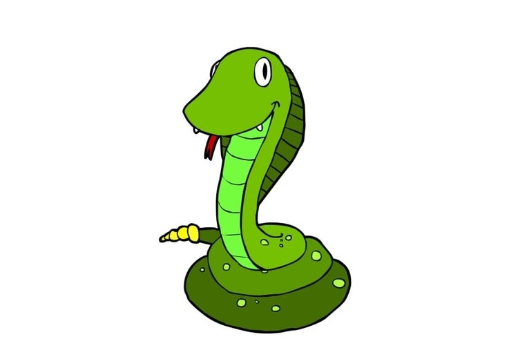Image snake