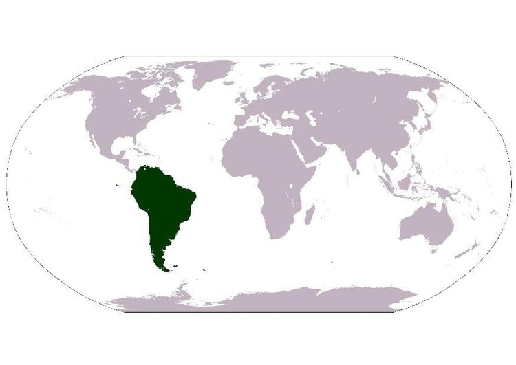 Image South America