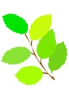 Image spring leaves
