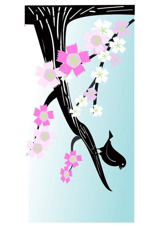 spring
