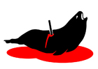 Images stop seal hunting