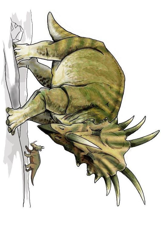 Styracosaur dinosaur