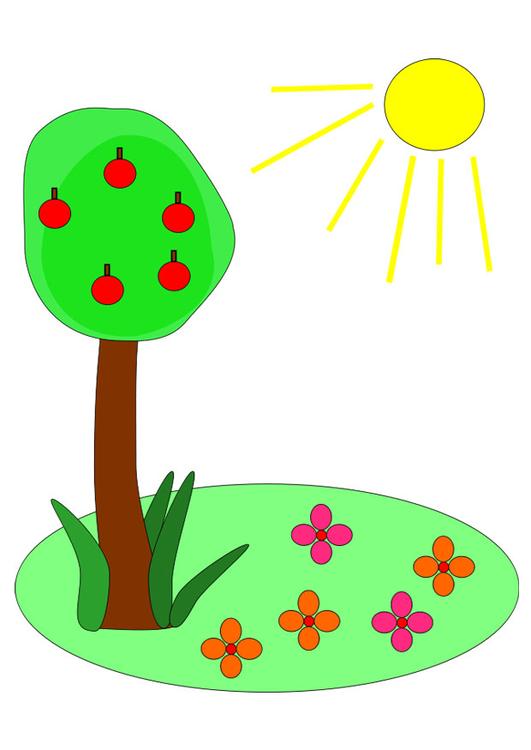 summer