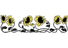 sunflowers