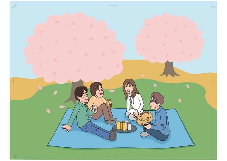 Image to picnic