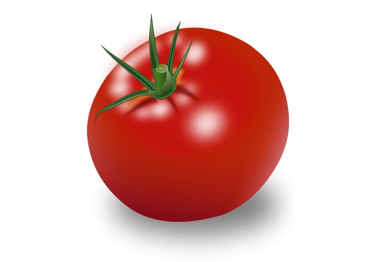 Image tomato