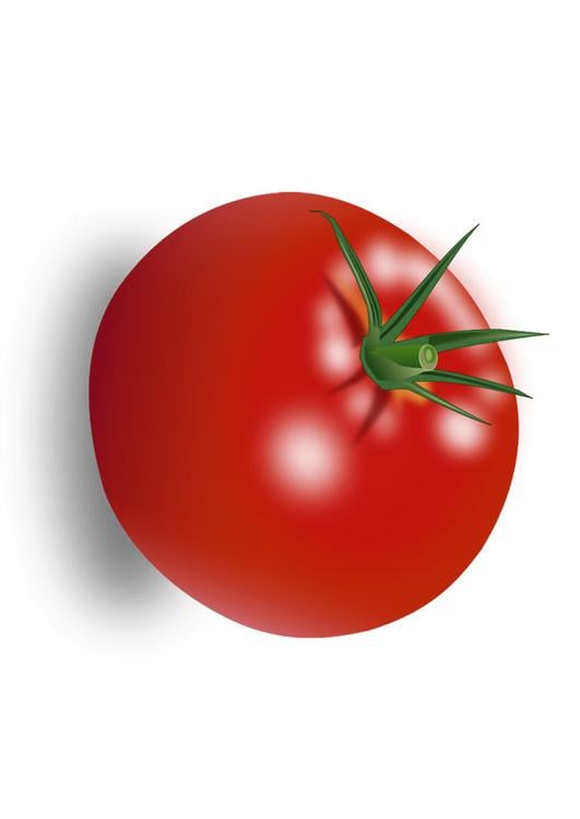 tomato