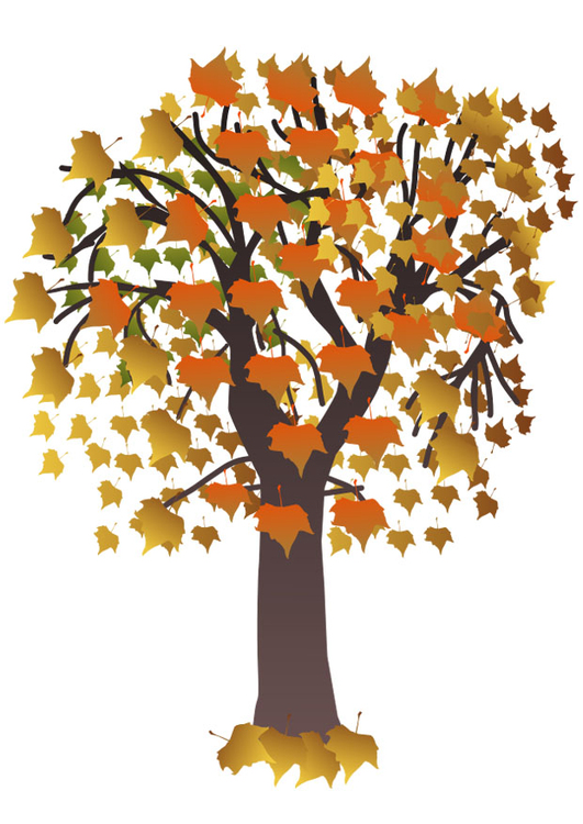 Image tree in autumn