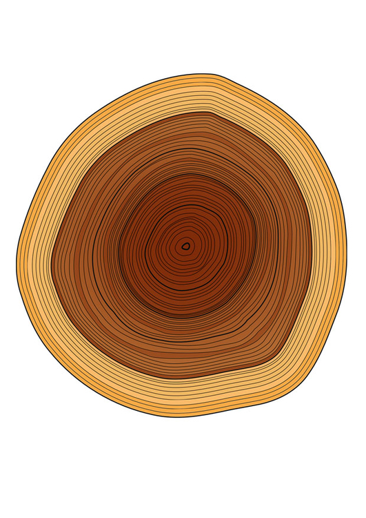 Image tree rings