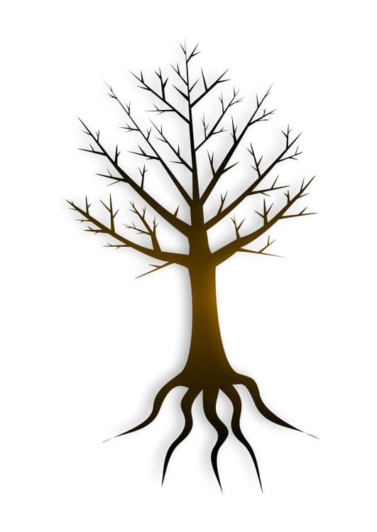 Image tree trunk