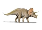 Images triceratops