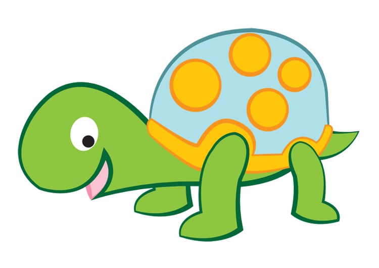 Image turtle