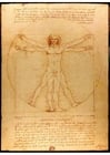 Image Vitruvian Man by Leonardo da Vinci.