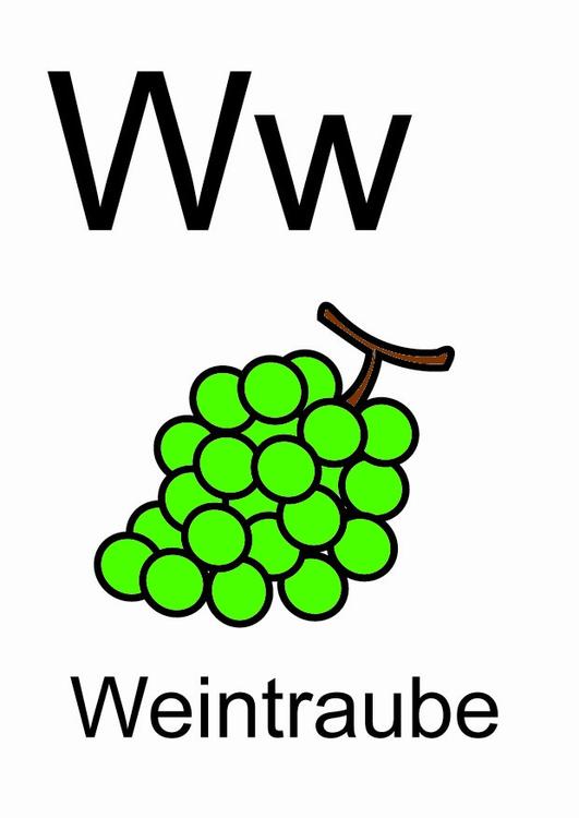 w