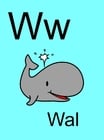 w