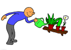 image Watering plants