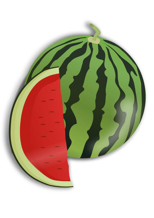 watermelon