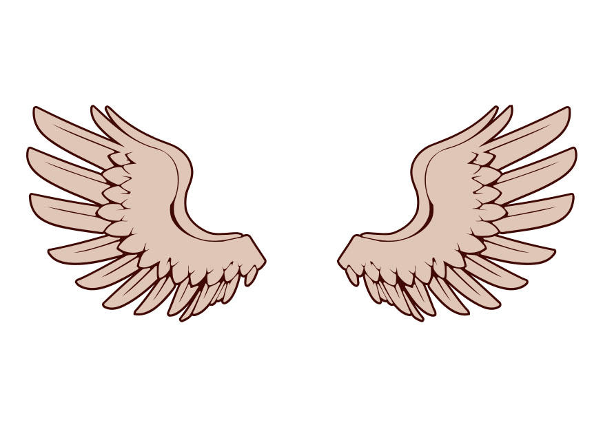 Image wings