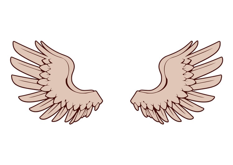 Image wings