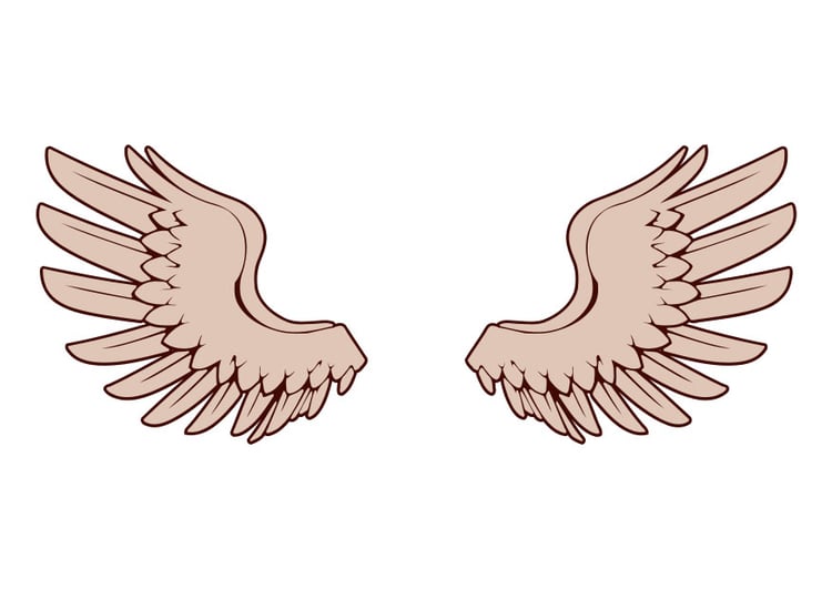 Image wings