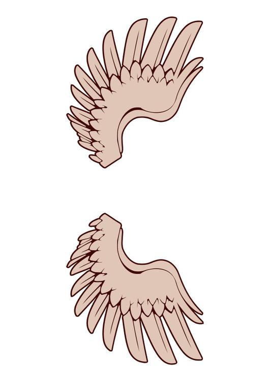 wings