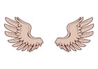Image wings