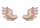 Image wings