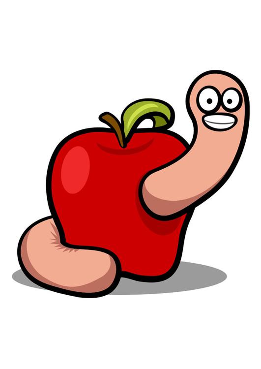 worm in apple