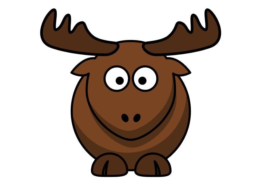 Image z1-moose