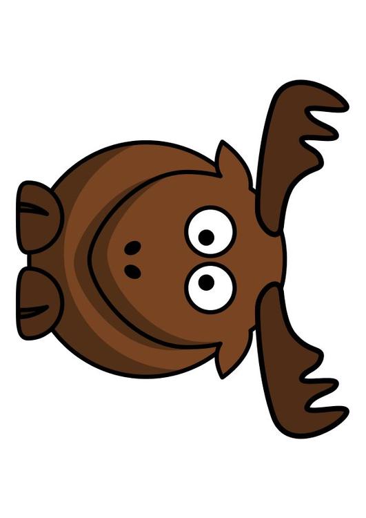 z1-moose