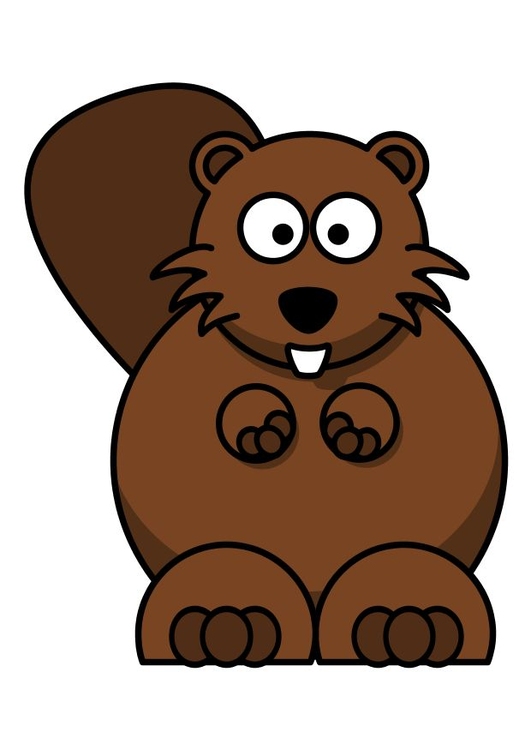 Image z1-beaver