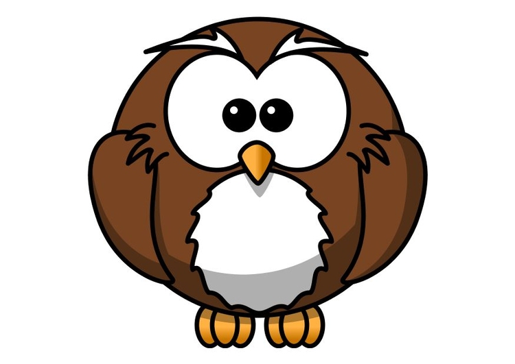 Image z1-owl