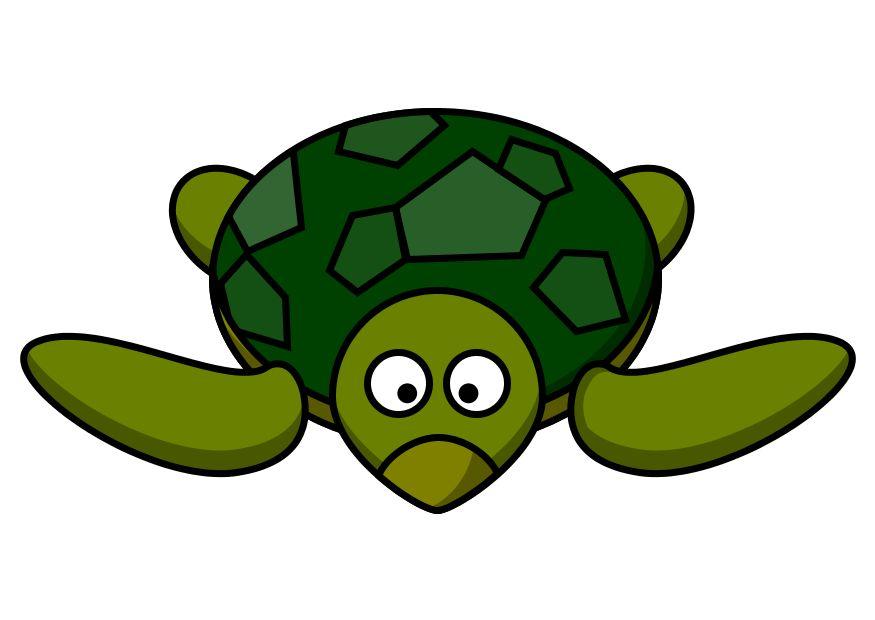 Image z1-sea turtle