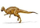 Image Zalmoxes