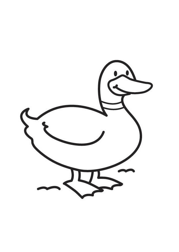 Duck coloring page
