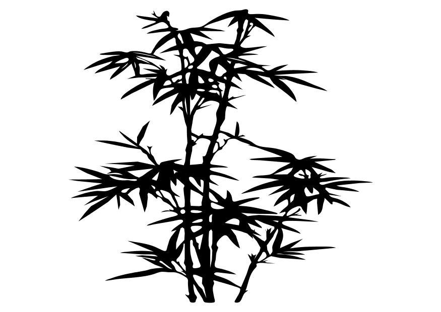 bamboo Coloring page bamboo
