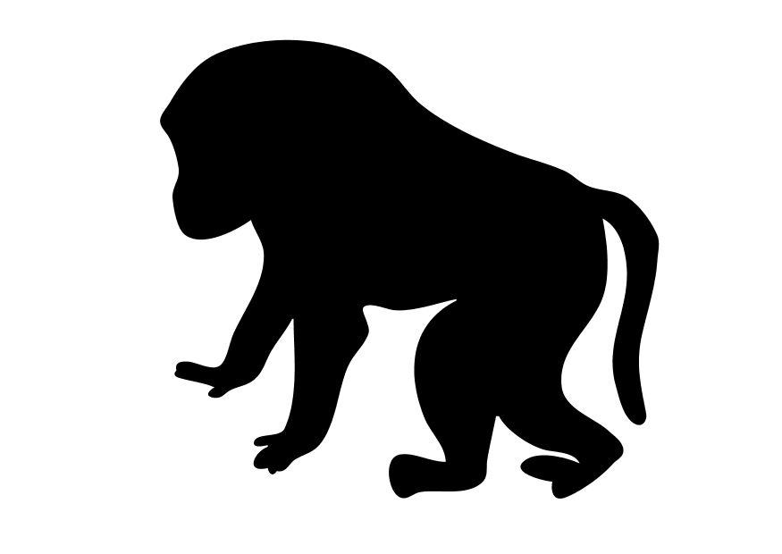 baboon Coloring page baboon