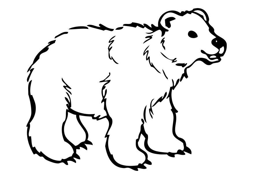 bear Coloring page bear