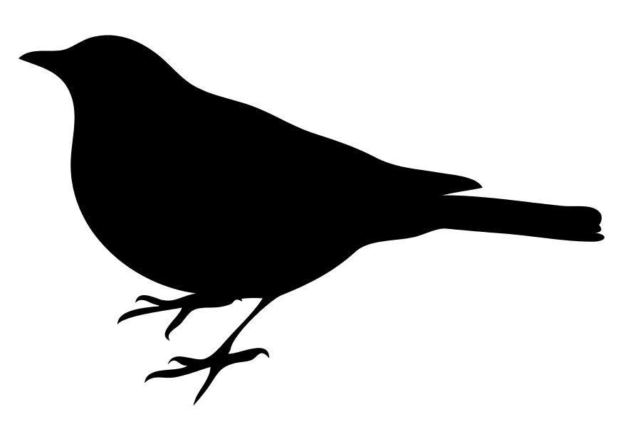 bird Coloring page bird