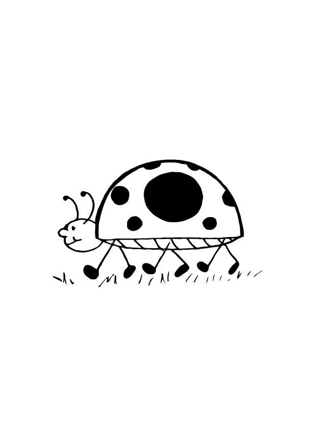 lady bug Coloring page lady bug