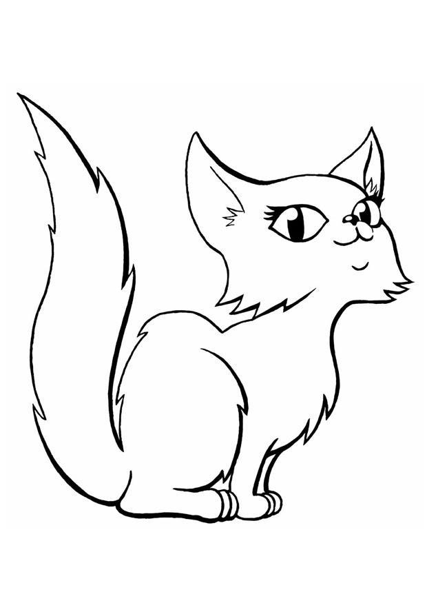 cat Coloring page cat