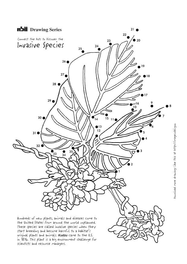 kudzu Coloring page kudzu
