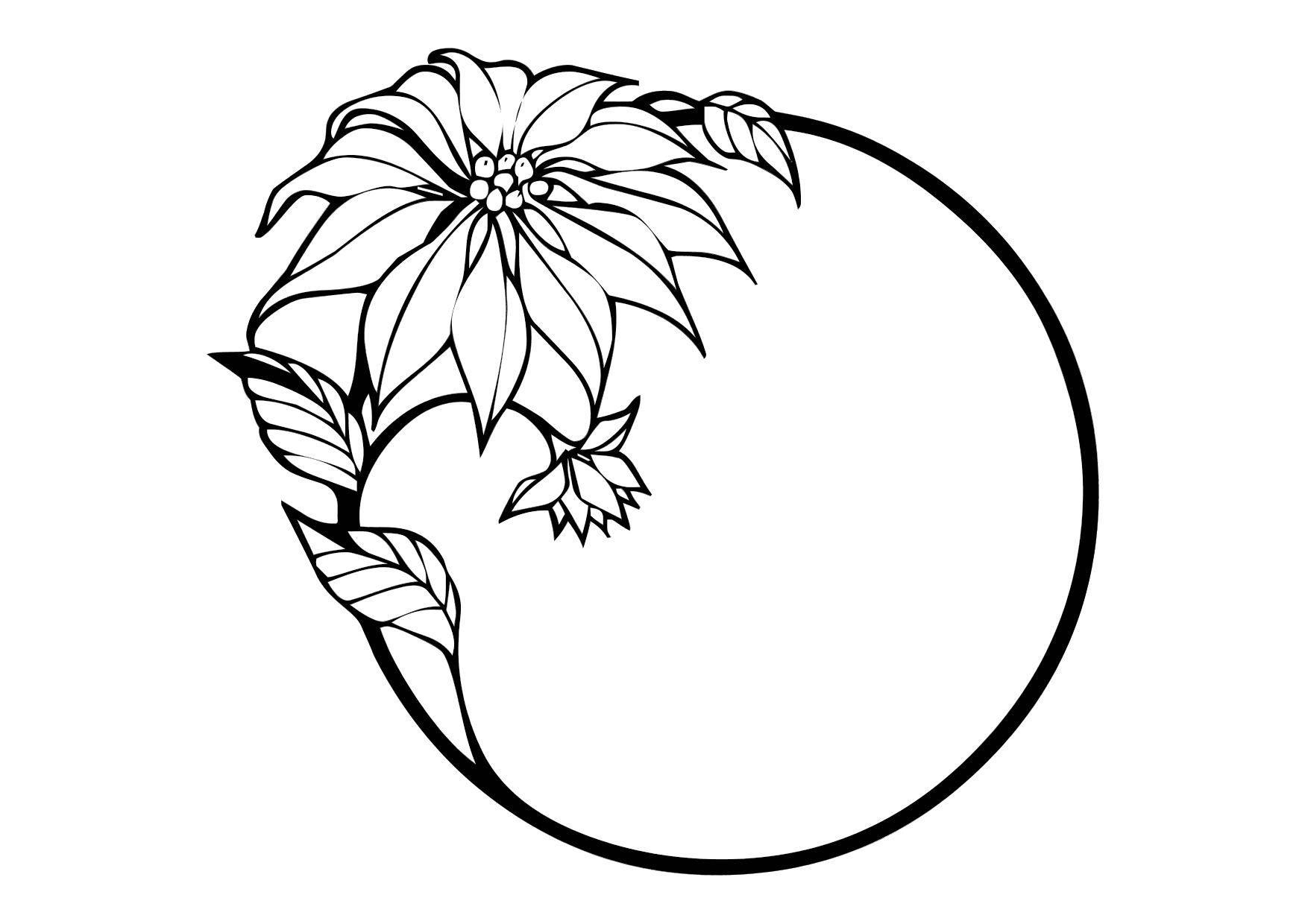 pointsettia Coloring page pointsettia