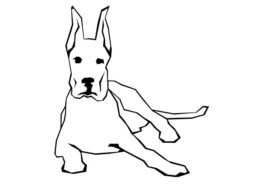 dog Coloring page dog