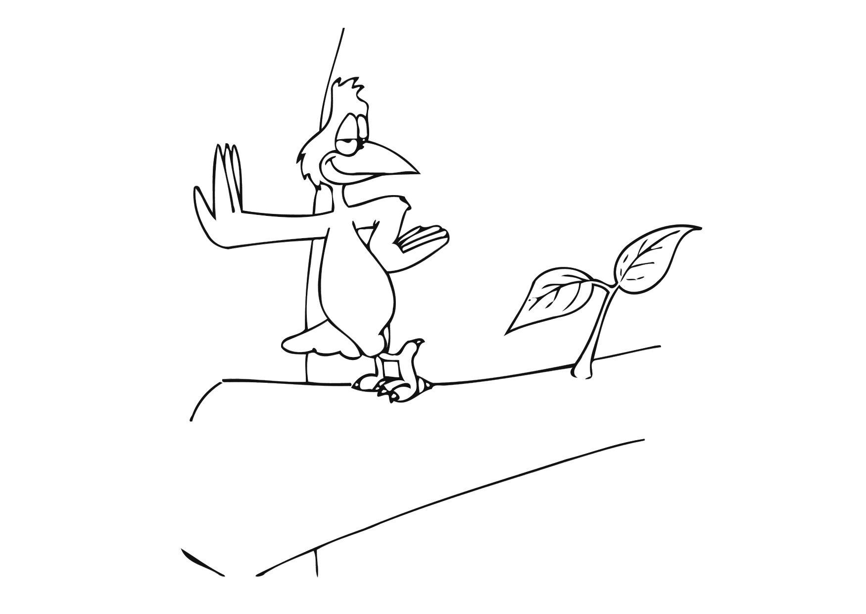 bird Coloring page bird