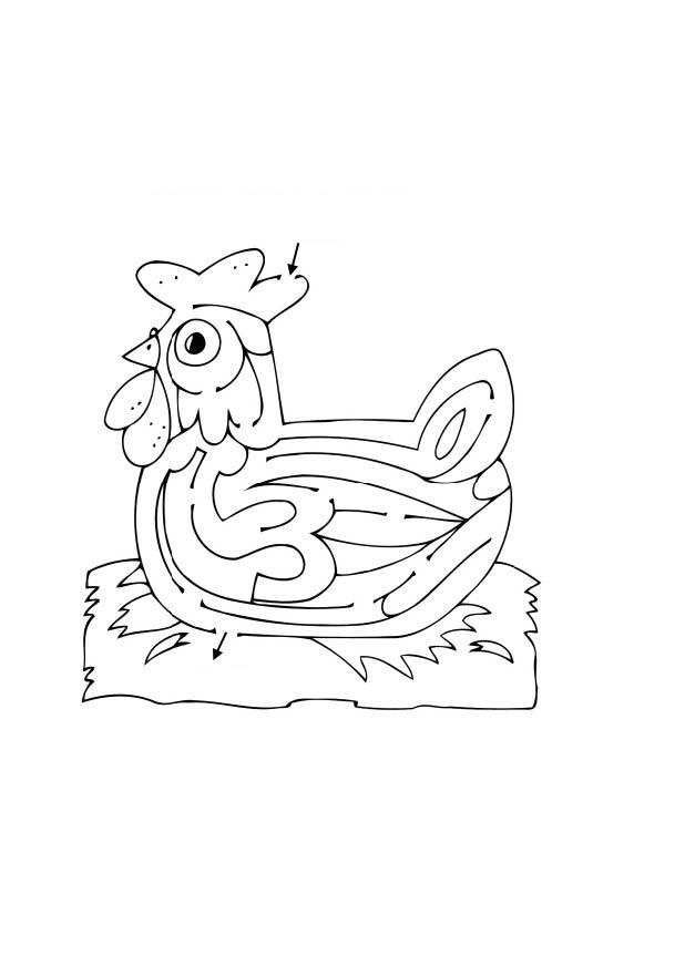 hen maze Coloring page hen maze