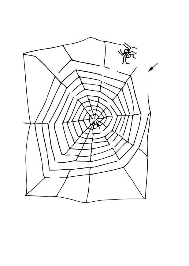 web maze Coloring page web maze