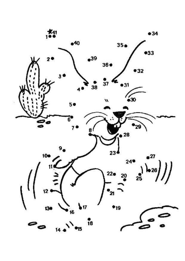 rabbit Coloring page rabbit