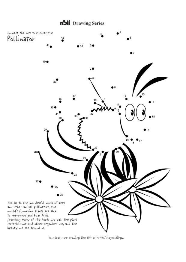 bee Coloring page bee