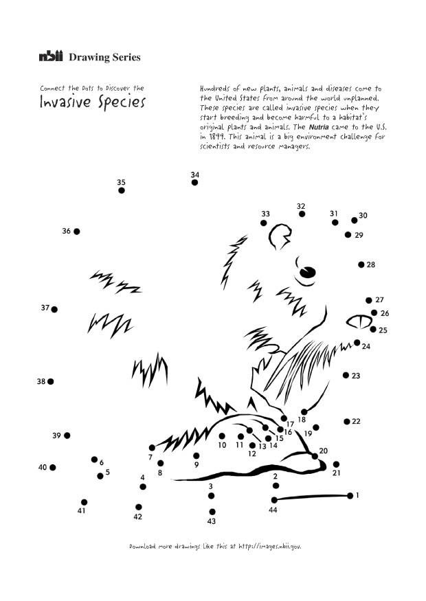 bever Coloring page bever
